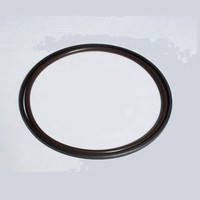 Single  Vanos BMW_nepoln