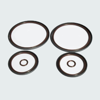 Double Vanos BMW_nepoln