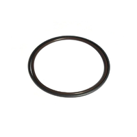 beisan single nepoln